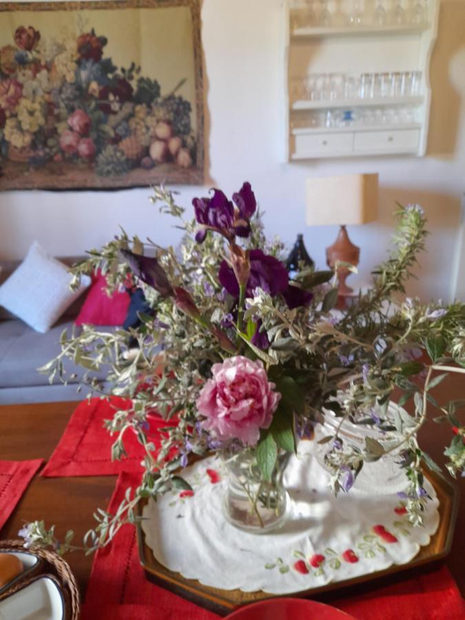 La Casa Di Paride Διαμέρισμα Greve in Chianti Εξωτερικό φωτογραφία