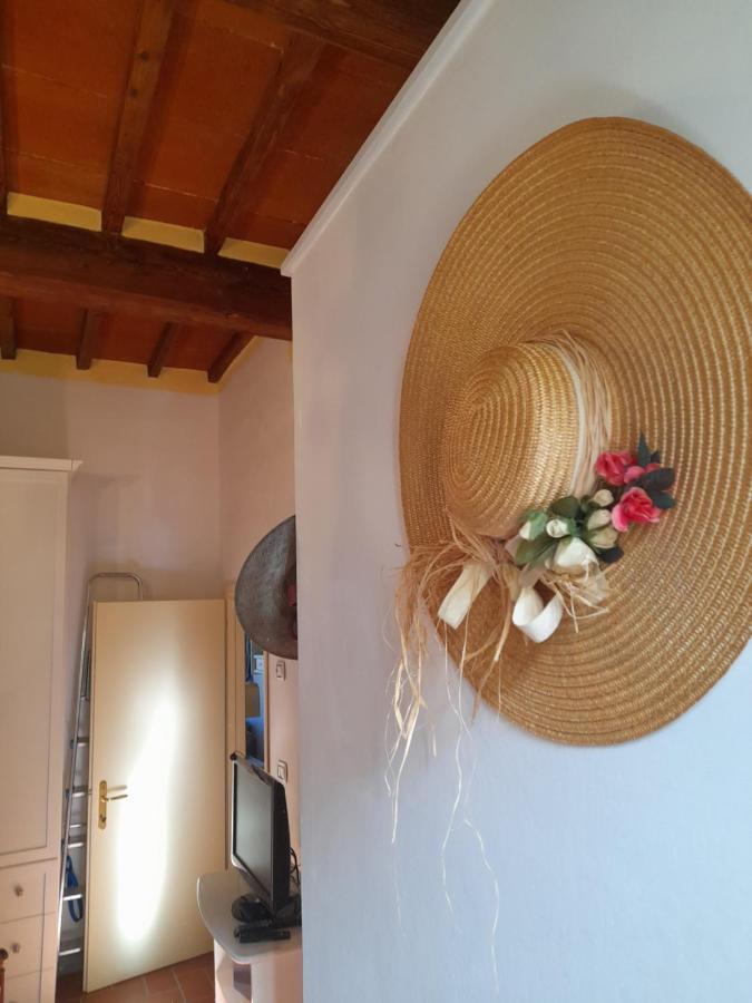La Casa Di Paride Διαμέρισμα Greve in Chianti Εξωτερικό φωτογραφία