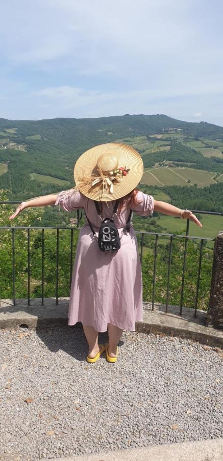 La Casa Di Paride Διαμέρισμα Greve in Chianti Εξωτερικό φωτογραφία